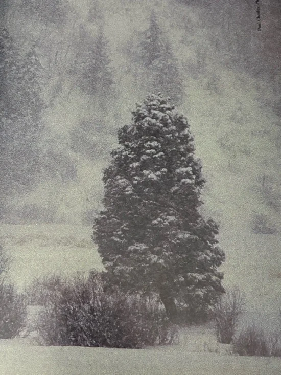 Christmas in America sofa/coffee book - Picture 3 of 5